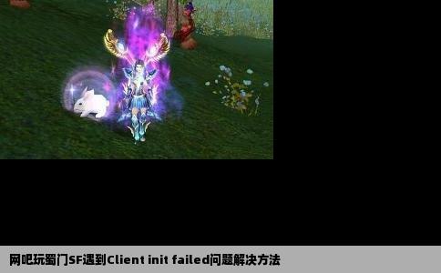 网吧玩蜀门SF遇到Client init failed问题解决方法